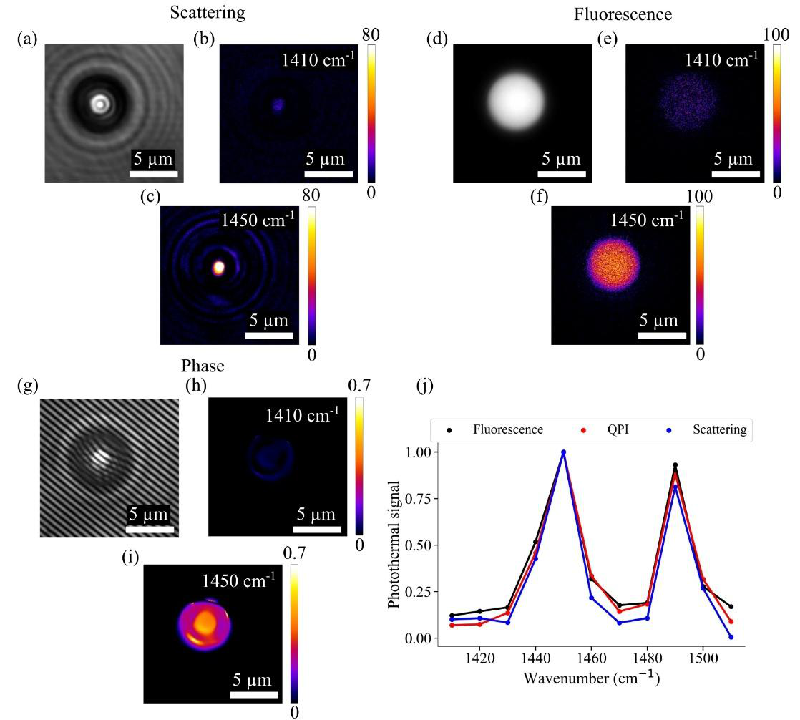 Revolutionizing Chemical Imaging: How Multi-Contrast Wide-Field Mid-Infrared Microscopy Could Change the Game